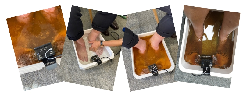 AMD Ion Foot Bath Detox - Shelley Gawith