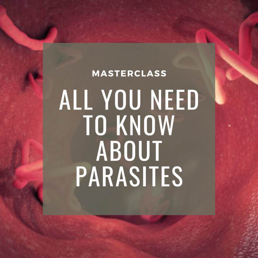 parasite masterclass